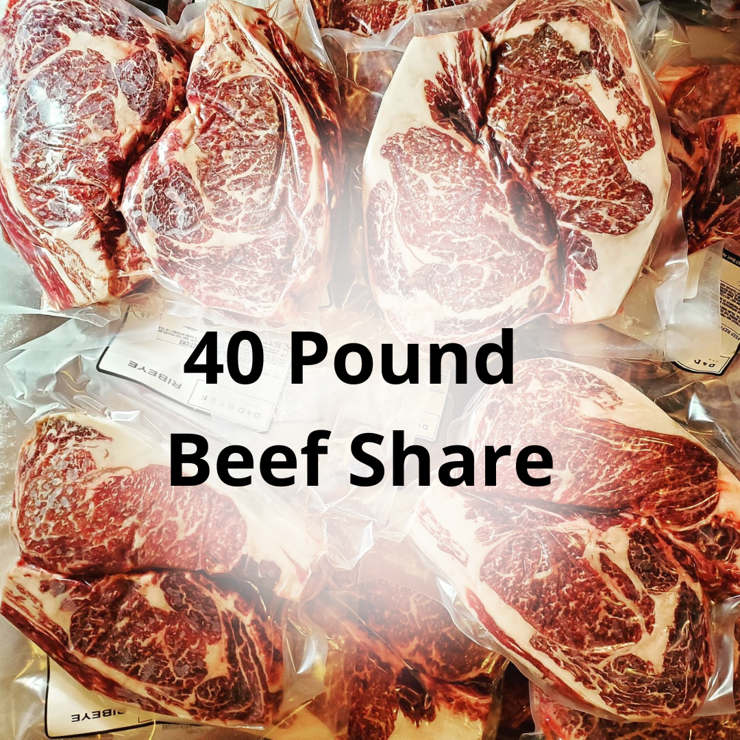 40 LB Beef Share