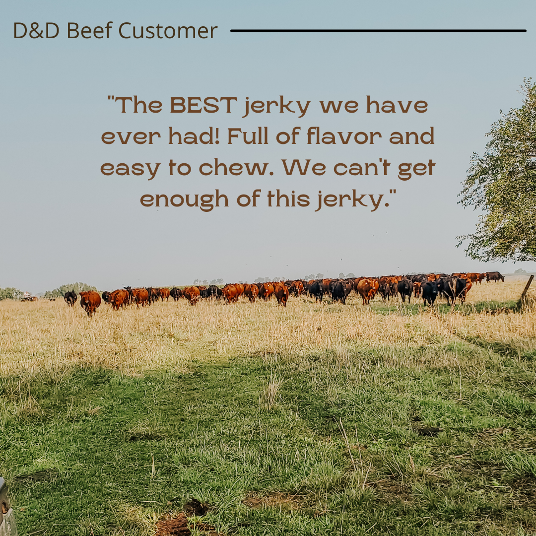 Beef Jerky